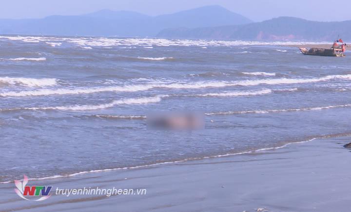 Ảnh 1: Thi thể trôi dạt vào bãi biển Diễn Trung