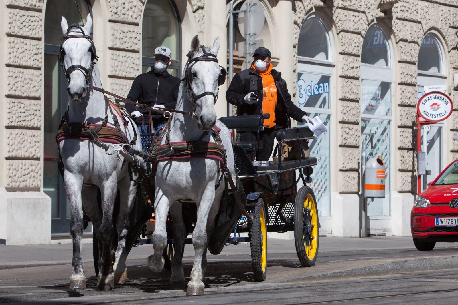 Chủ xe và xe ngựa kéo chuyển đồ ăn cho khách hàng tại Vienna, Áo giữa mùa đại dịch COVID-19.