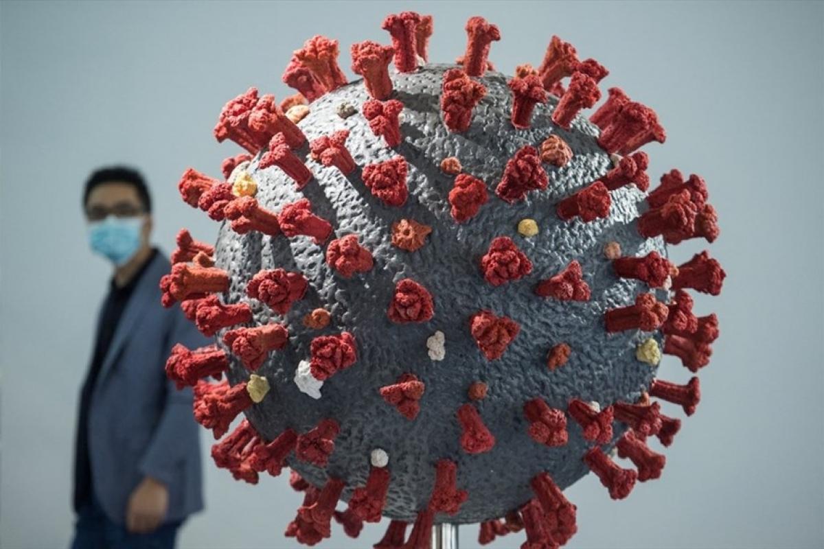 Mô hình virus SARS-CoV-2. ẢNh: AFP.