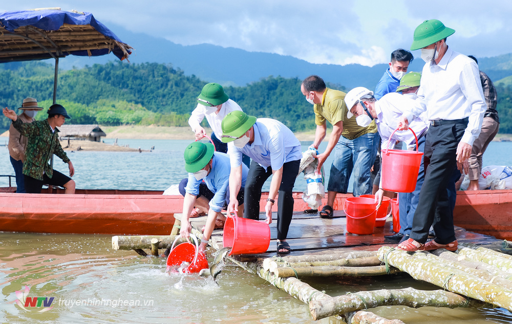 Bí thư Tỉnh ủy Thái Thanh Quý cùng các đồng chí lãnh đạo tỉnh đã thả cá giống vào lòng hồ.