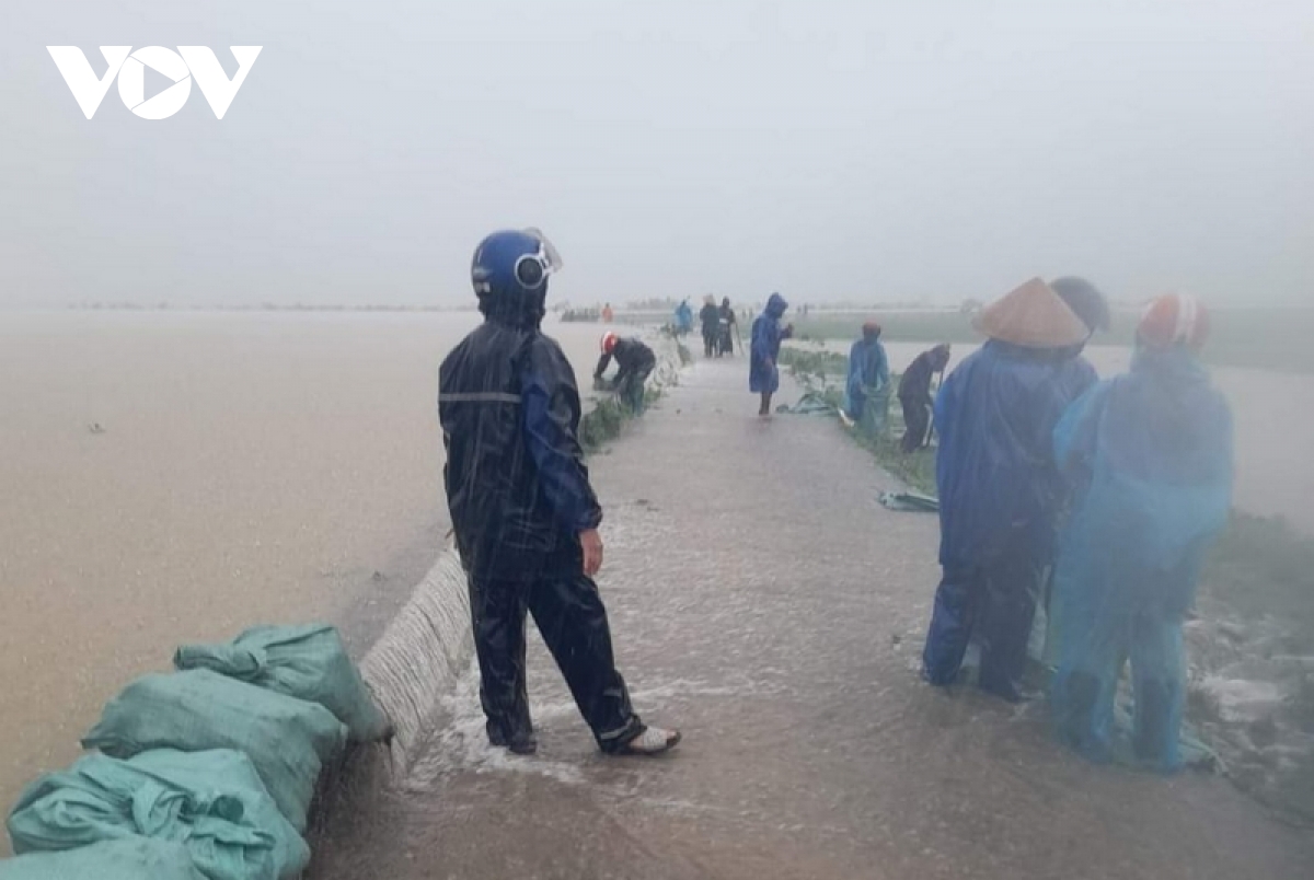 Người dân các xã vùng trũng huyện Hải Lăng, tỉnh Quảng Trị đắp tạm đê bao ngăn nước lũ tràn vào đồng ruộng nhưng lũ quá lớn, không ngăn được.