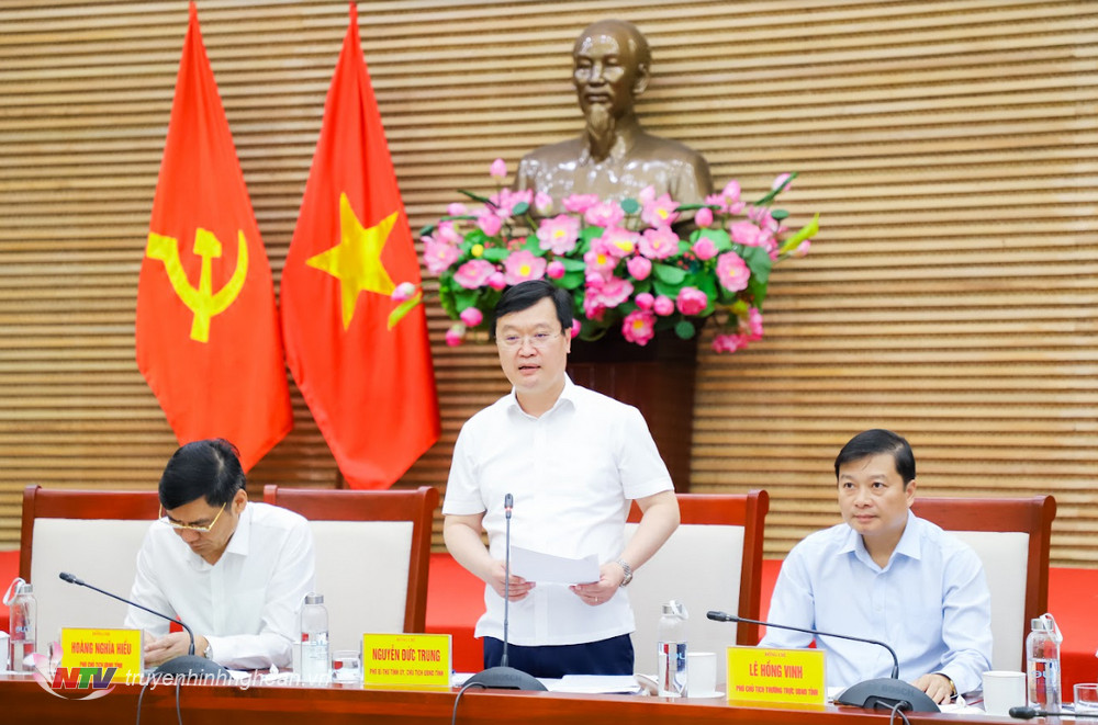 Chủ tịch UBND tỉnh Nguyễn Đức Trung phát biểu kết luận phiên họp.