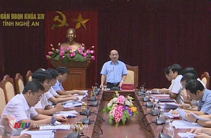 Phó trưởng đoàn ĐBQH tỉnh Nguyễn Thanh Hiền phát biểu tại buổi làm việc.