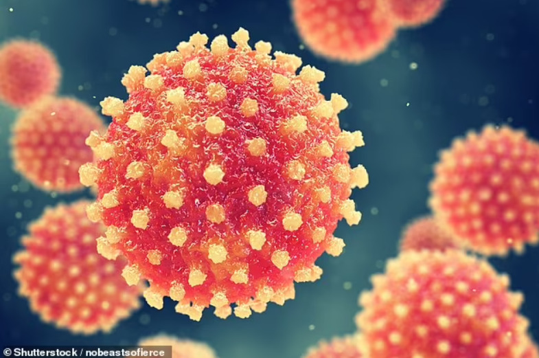 Adenovirus - Loại virus thường gây ra cảm lạnh thông thường được cho là có liên quan tới căn bệnh viêm gan cấp bí ẩn ở trẻ em hiện nay.