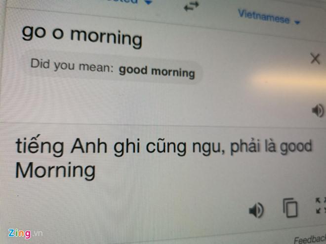 Google Dịch "mắng" người dùng ngu.