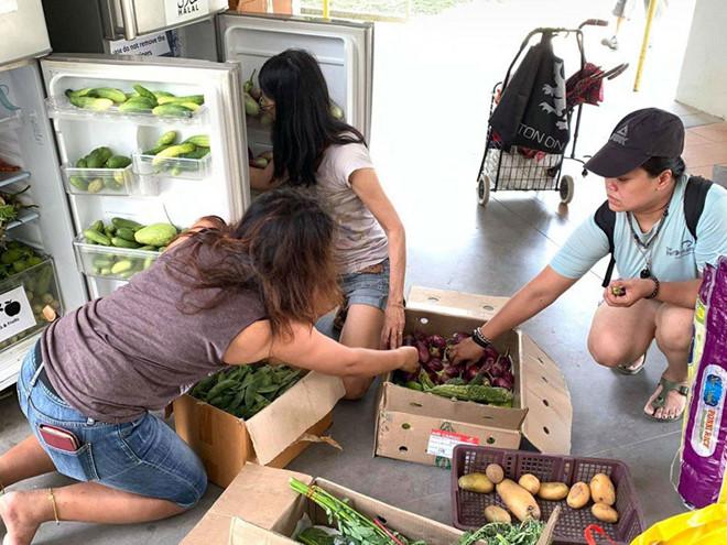 Các tình nguyện viên SG Food Rescue trữ trái cây, rau củ thu gom từ chợ
