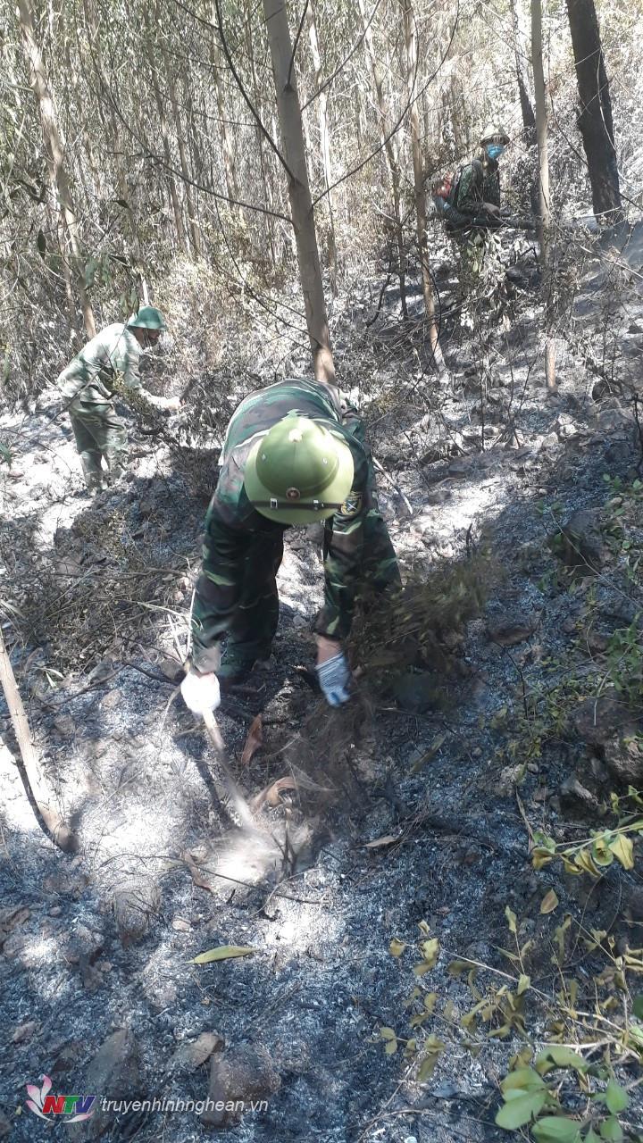 Lực lượng BĐBP dọn thực bì phòng đám cháy bùng phát trở lại