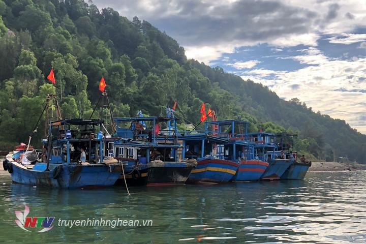 6 phương tiện của ngư dân các tỉnh Ninh Thuận, Ninh Thuận và Cần Thơ có hành vi khai thác thủy sản ven bờ biển tỉnh Nghệ An.