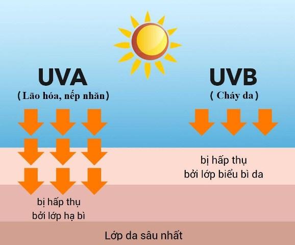 Tia UVA, UVB trong ánh nắng mặt trời gây hại cho làn da.