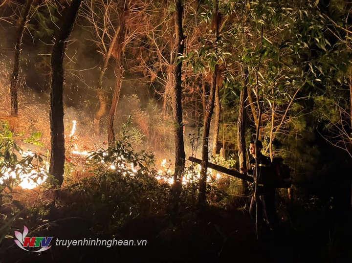 Lực lượng chữa cháy xuyên đêm căng mình chữa cháy cánh rừng thông