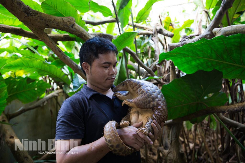 Ông Nguyễn Văn Thái, Giám đốc Trung tâm Bảo tồn Động vật hoang dã tại Việt Nam. Ảnh: baoninhbinh.org.vn