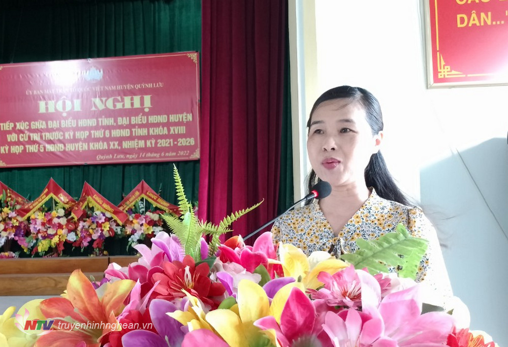 Đại biểu HĐND tỉnh Nguyễn Thị Quỳnh Hoa - Chủ tịch Hội LHPN tỉnh phát biểu tại buổi tiếp xúc.