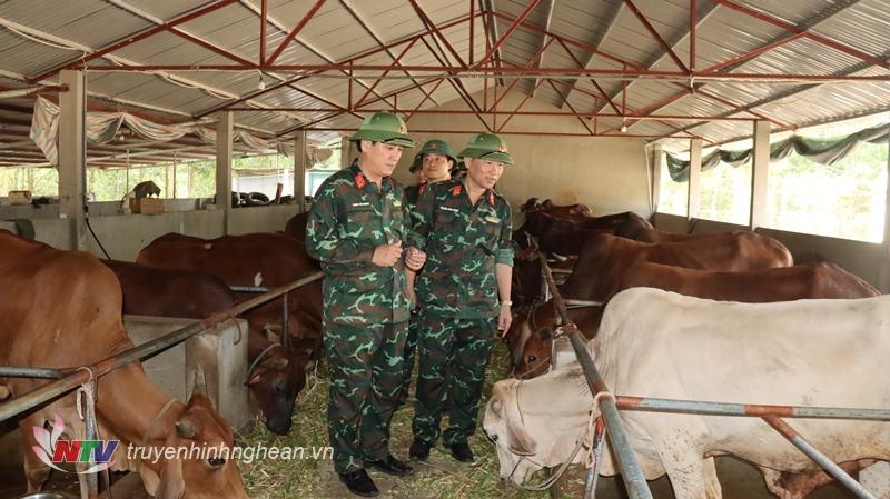 Thượng tá Phan Đại Nghĩa, Ủy viên Ban Thường vụ Tỉnh ủy, Chỉ huy trưởng Bộ CHQS tỉnh kiểm tra công tác chăn nuôi tập trung tại sở chỉ huy diễn tập khu vực phòng thủ tỉnh.