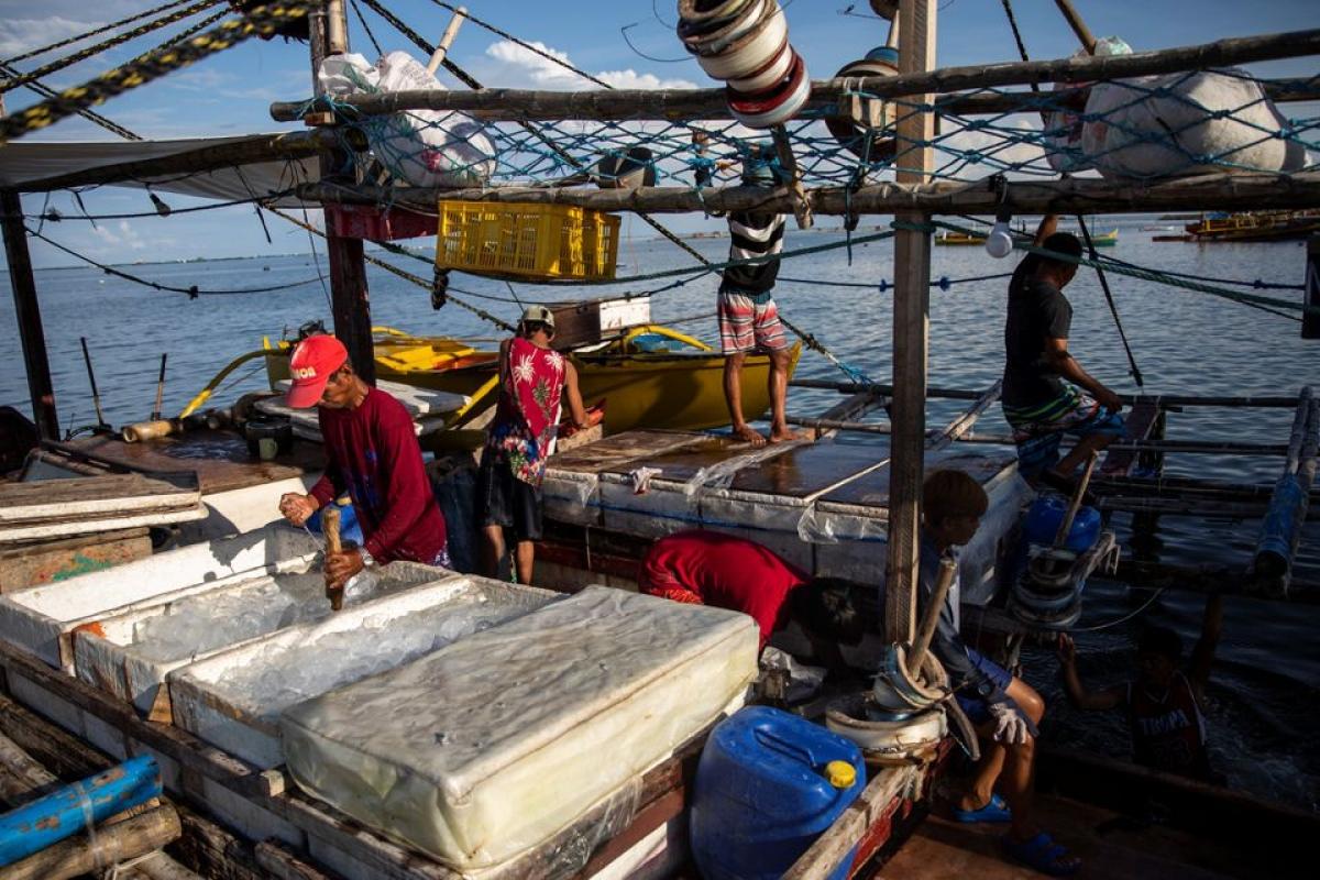 Ngư dân Philippines đánh cá tại Pangasinan. Ảnh: Reuters