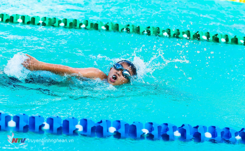 Các VĐV tranh tài ở 6 nhóm tuổi từ 6 - 18, tranh các bộ huy chương ở các nội dung Bơi tự do cự li từ 25-200m và Bơi ếch cự ly từ 50 -200m.
