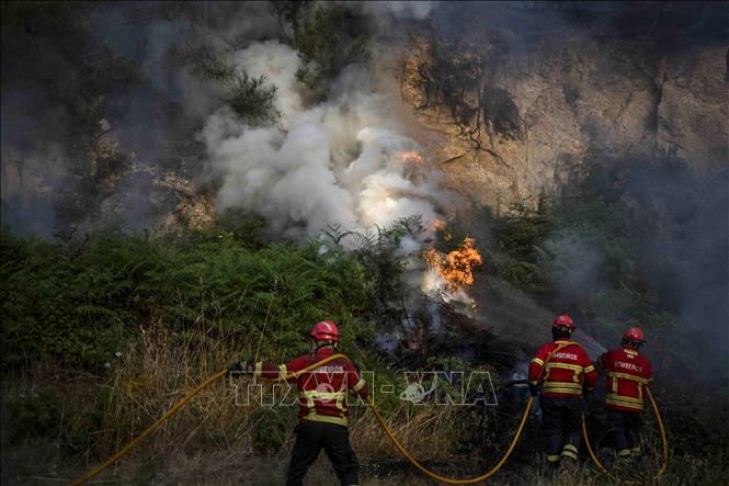 Lính cứu hoả nỗ lực dập lửa cháy rừng ở Baiao, phía Bắc Bồ Đào Nha, ngày 15/7/2022. 