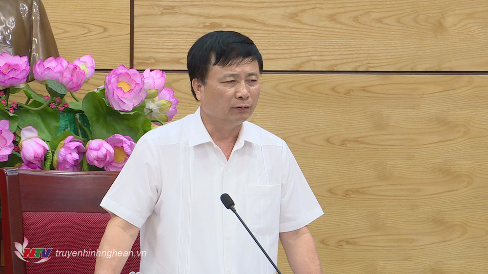 Phó Chủ tịch UBND tỉnh Bùi Đình Long phát biểu kết luận cuộc họp.