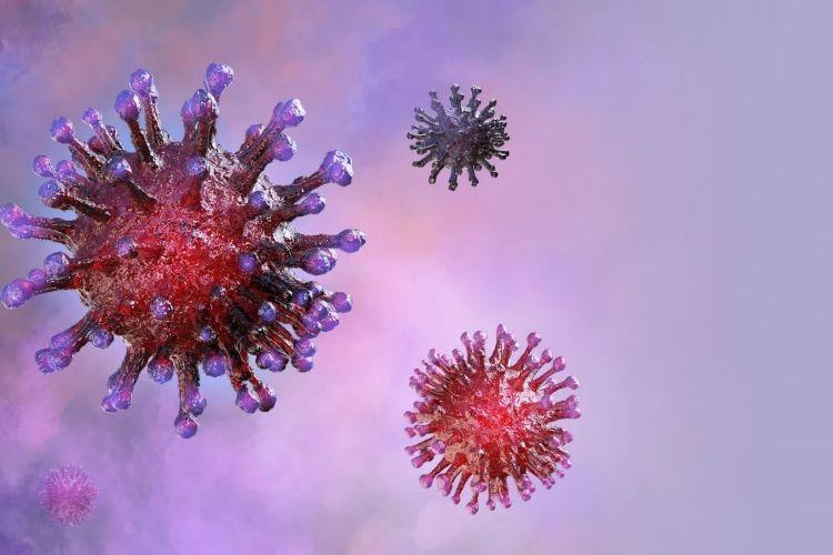 Virus SARS-CoV-2 đã được tìm thấy trên cánh gà đông lạnh nhập khẩu từ Brazil. Ảnh: Shutterstock