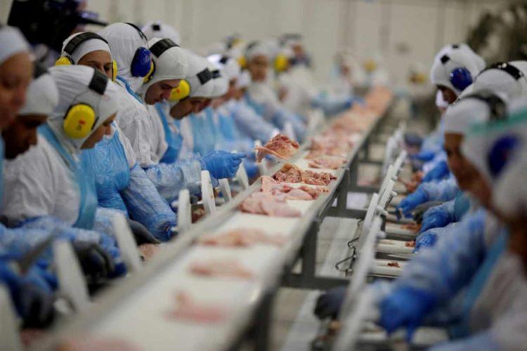 Công nhân làm việc tại nhà máy chế biến thịt JBS ở thị trấn Lapa, bang Paraná, Brazil, hồi tháng 3. Ảnh: Reuters