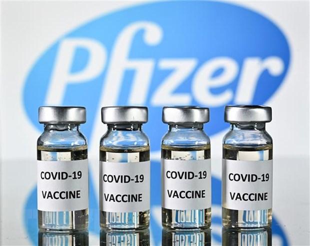 Hình ảnh minh họa vaccine ngừa COVID-19 của Pfizer. 