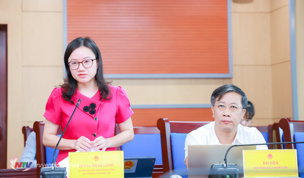Phó trưởng Đoàn chuyên trách Đoàn ĐBQH tỉnh Thái Thị An Chung nêu ý kiến tại phiên họp.
