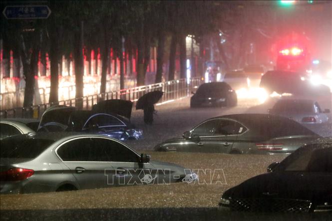 Nhiều xe ô tô bị ngập nước sau trận mưa lớn tại Seoul, Hàn Quốc, ngày 8/8/2022.