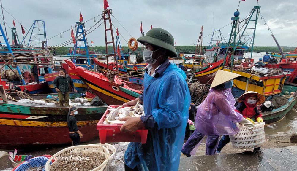 Ngư dân đưa cá lên cảng Lạch Vạn để tiêu thụ