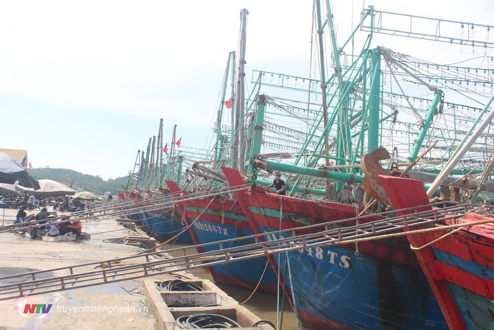 Đến 10 giờ sáng ngày 10/9, hơn 700 phương tiện đánh bắt xa bờ của ngư dân Quỳnh Lưu đã về bờ neo đậu an toàn; một số phương tiện đang trên đường vào bờ.