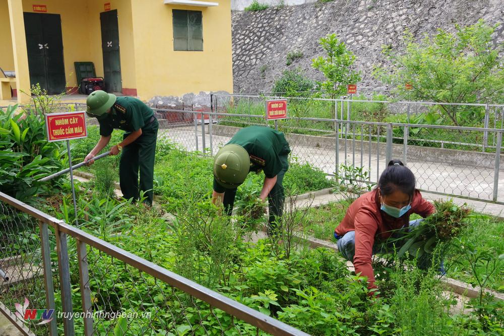 Quân y các đơn vị cùng người dân địa phương bổ sung, chăm sóc vườn cây thuốc nam để bổ sung cây thuốc, cây dược liệu nhằm đáp ứng nhu cầu chăm sóc sức khỏe cho CBCS và người dân địa phương