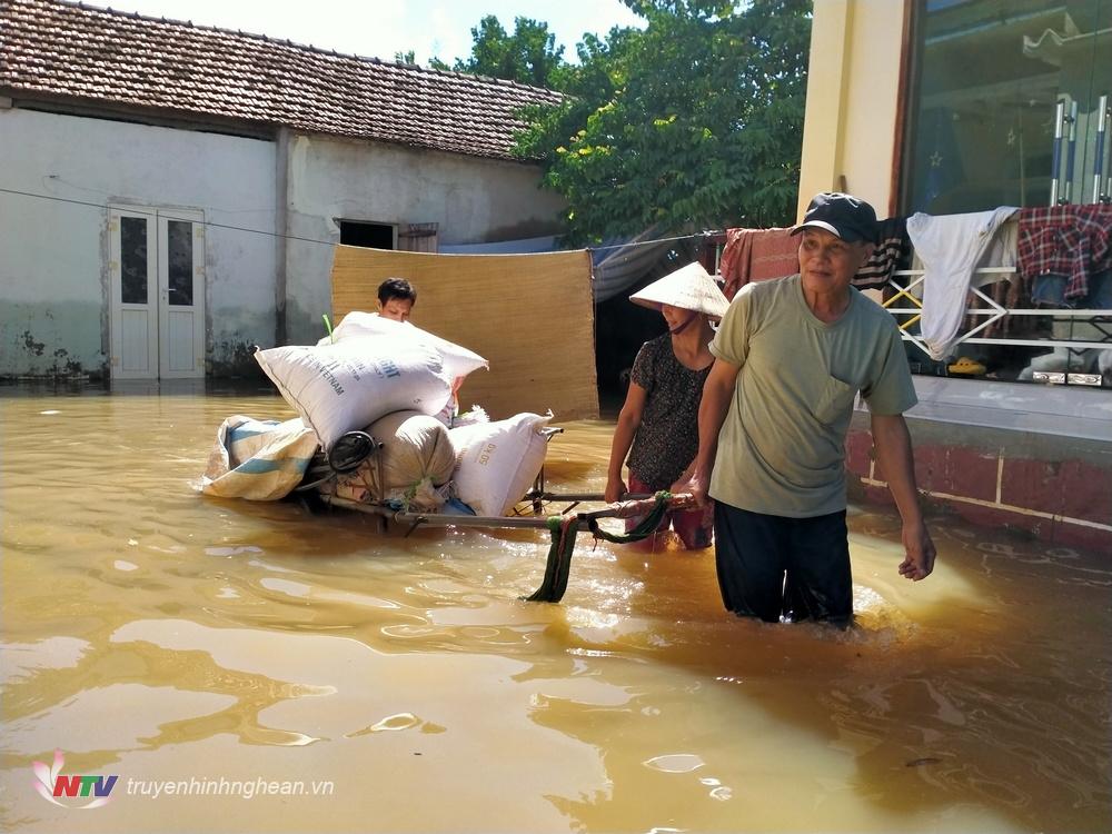 Người dân Thuận Nghĩa, xã Quỳnh Lâm vận chuyển lúa đi phơi sau ngập lụt