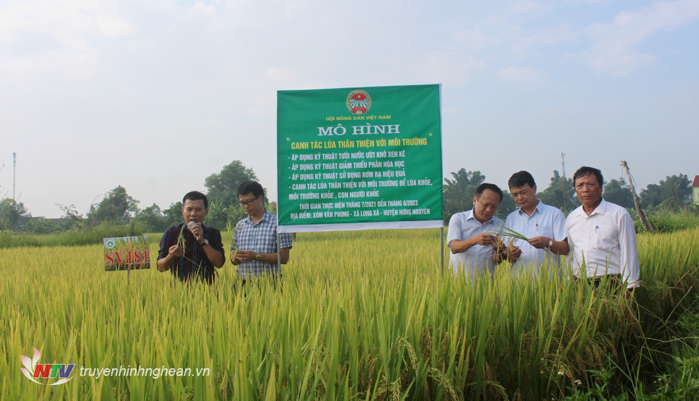 Nông dân Tân Trụ chủ động canh tác lúa theo qui trình hữu cơ  Đài Phát  thanh và Truyền hình Long An