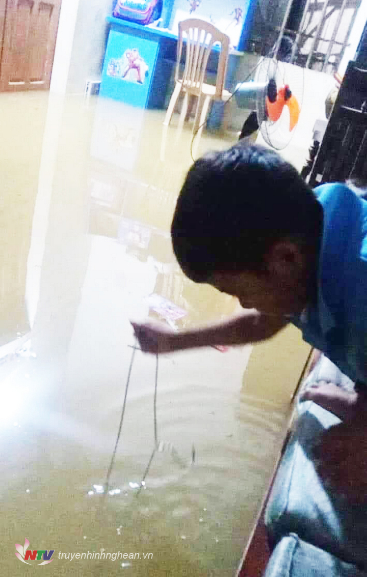 Nước tràn vào nhà dân ở xóm Đông Hội, xã Nghĩa Hội.