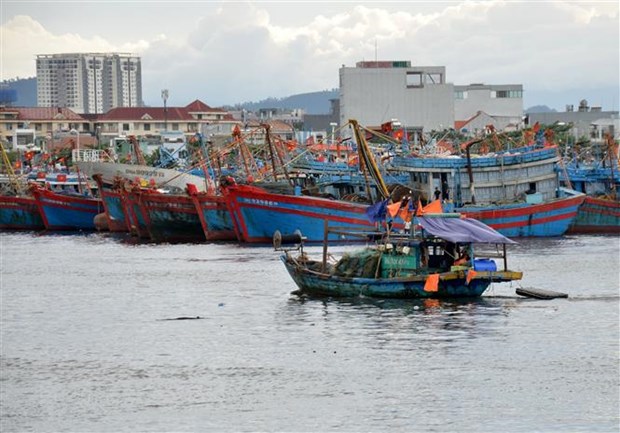 Các tàu thuyền khẩn trương vào tránh bão tại âu thuyền Thọ Quang (quận Sơn Trà, thành phố Đà Nẵng). 