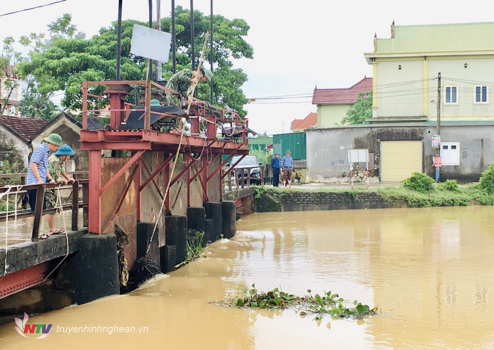 Xã Khánh Thành phân công lực lượng trục vớt bào tây ở cầu tràn Phú Ninh, thông thoáng dòng chảy, bảo vệ công trình thủy lợi