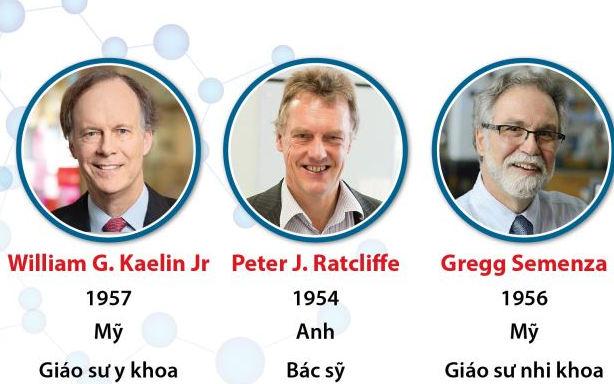 Giải Nobel Y học 2019 vinh danh công trình nghiên cứu tế bào