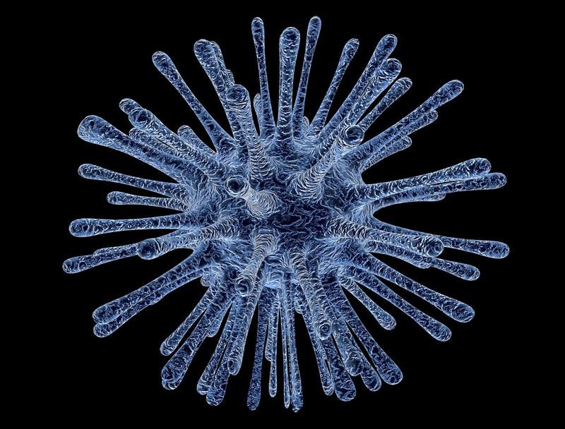 Viêm gan A: Bệnh viêm gan A lây truyền qua các phần tử phân có trong nước và thức ăn ô nhiễm.