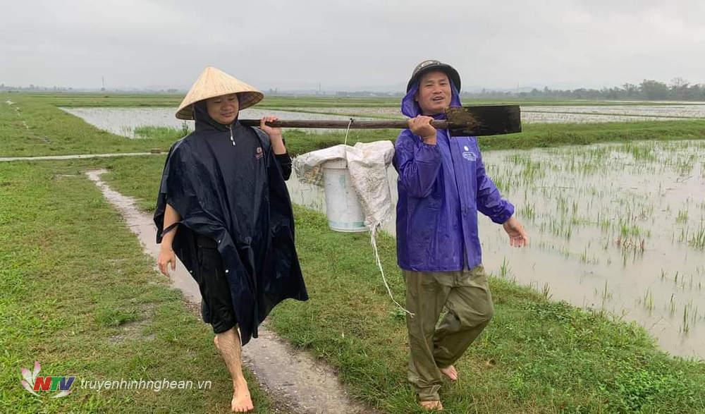 Người dân quê lúa Yên Thành đổ ra đồng bắt chuột mùa mưa lũ.