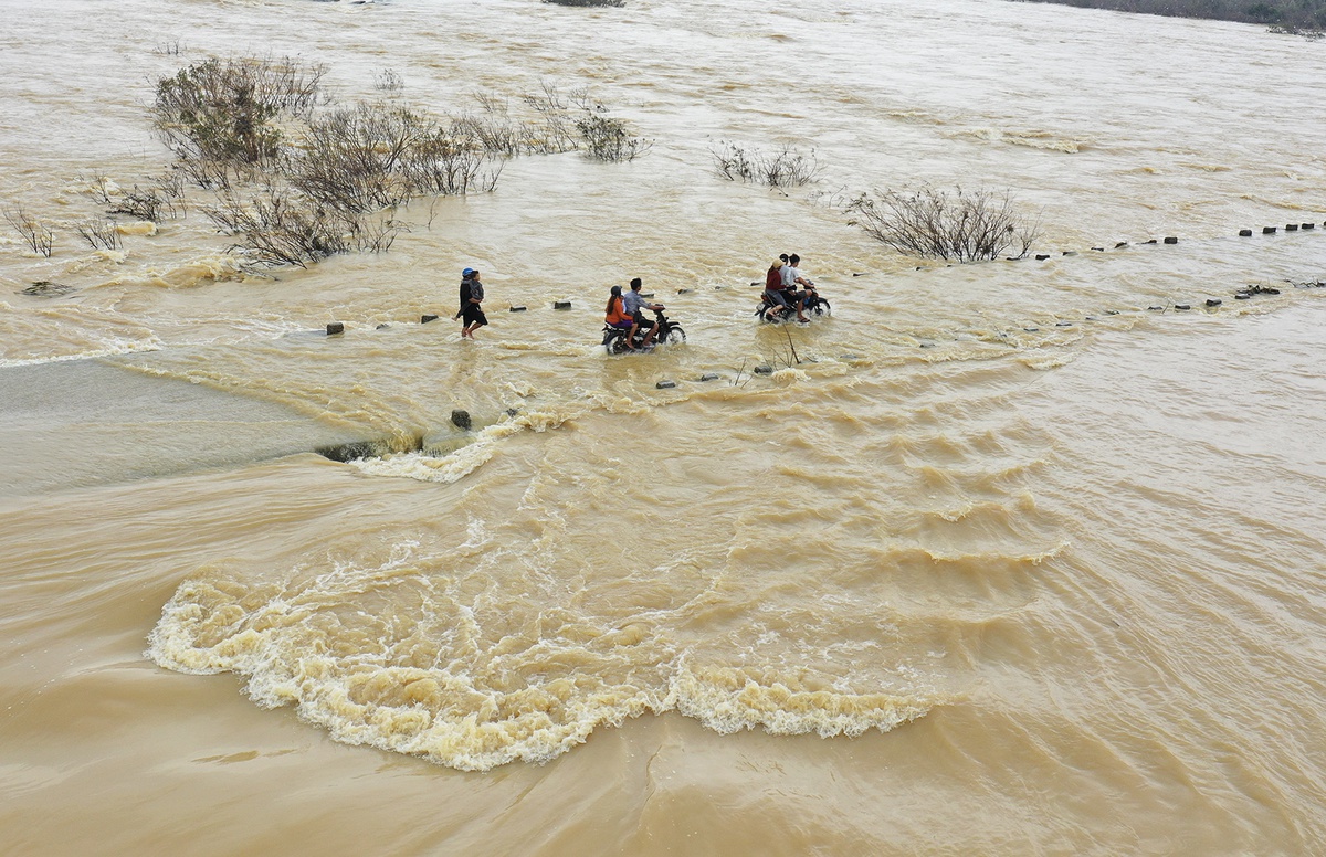 Mưa lớn kéo dài khiến các sông ở Quảng Ngãi dâng cao trên mức báo động 3. 