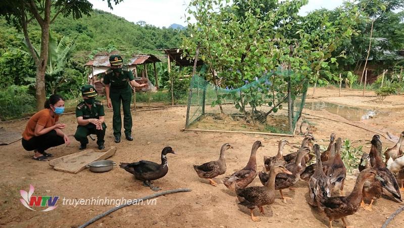 Nữ quân nhân Đồn BP Nhôn Mai, BĐBP tỉnh Nghệ An hướng dẫn người dân chăn nuôi phát triển kinh tế hộ gia đình