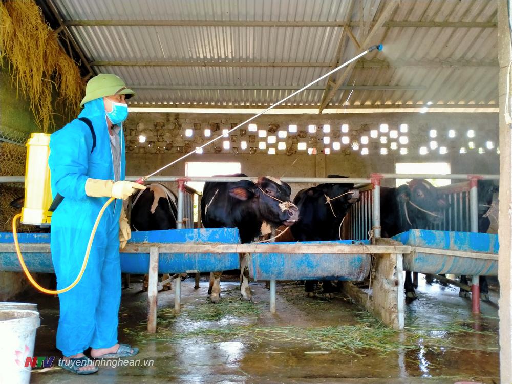 Người chăn nuôi trên địa bàn huyện tiến hành phun tiêu độc khử trùng ngay sau khi nước rút