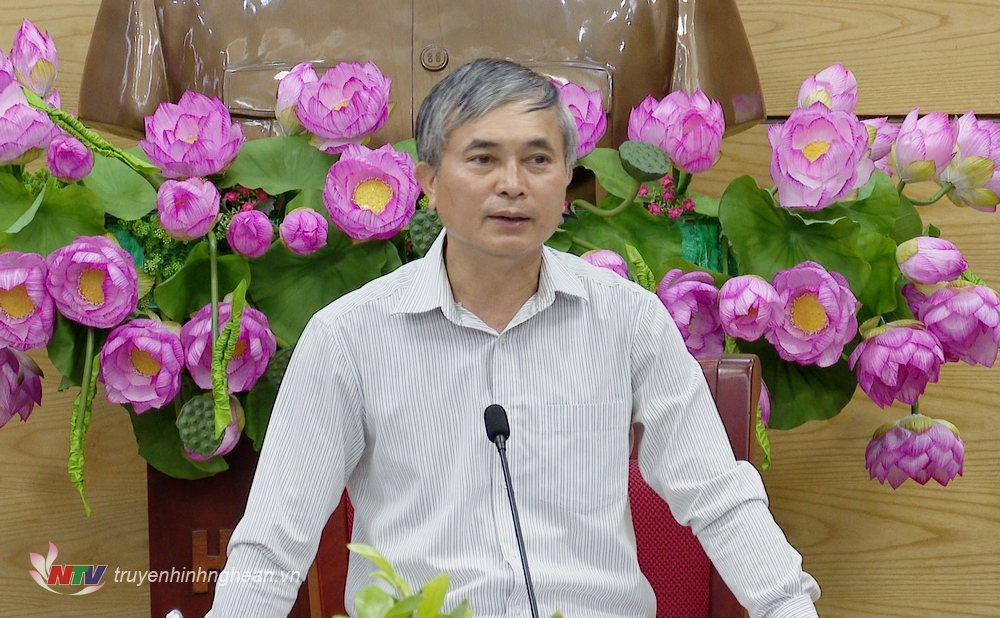 Phó Chủ tịch UBND tỉnh Lê Ngọc Hoa phát biểu kết luận cuộc họp.