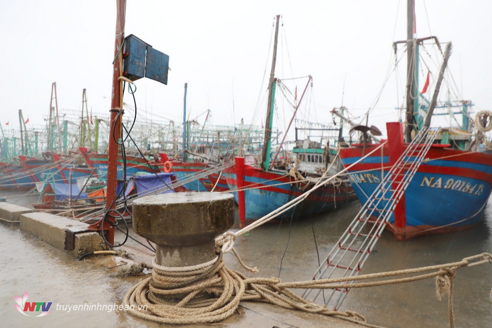 Hơn 1.100 tàu thuyền của ngư dân huyện Quỳnh Lưu đã về nơi tránh trú an toàn.