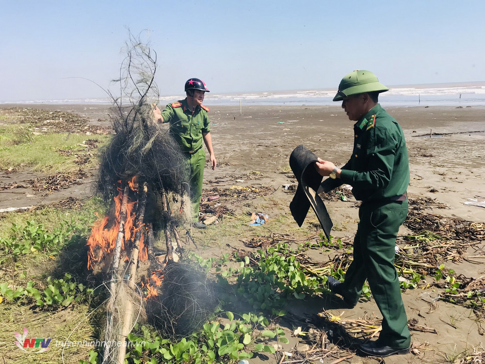 Tiêu hủy các vật dụng đánh bắt chim hoang dã.