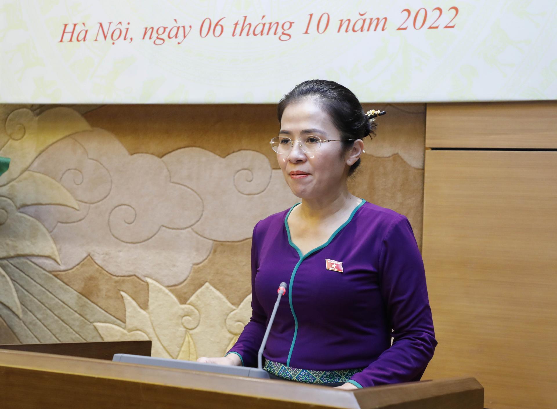 Chủ tịch Nhóm nữ đại biểu Quốc hội và HĐND tỉnh Nghệ An Võ Thị Minh Sinh phát biểu