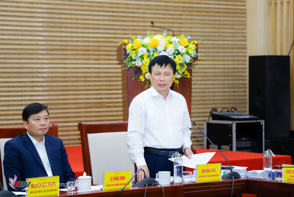 Phó Chủ tịch UBND tỉnh Bùi Đình Long phát biểu tại cuộc họp.