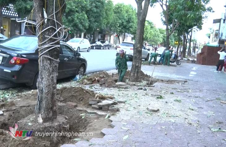 TP Vinh đang gấp rút 