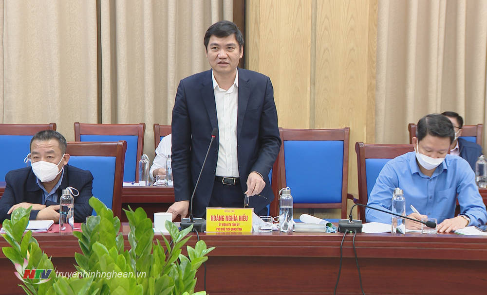 Phó Chủ tịch UBND tỉnh Hoàng Nghĩa Hiếu phát biểu tại buổi làm việc.
