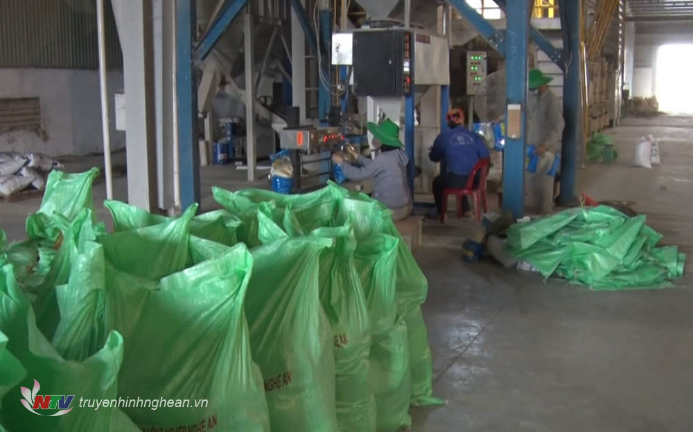 Nghệ An có 6 doanh nghiệp đủ điều kiện xuất khẩu gạo
