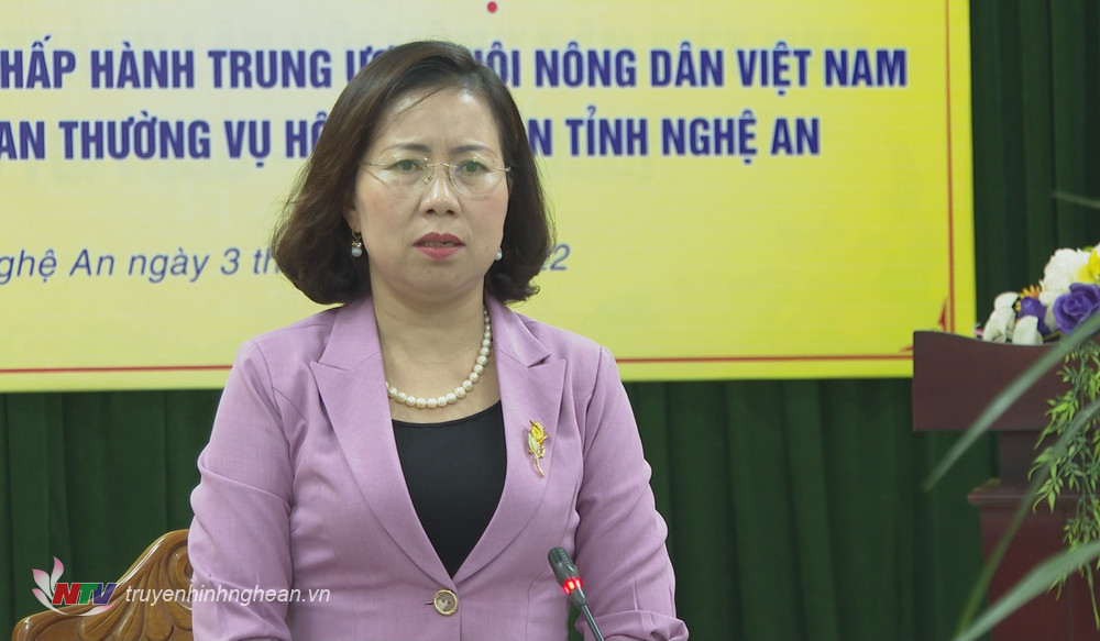 Phó Chủ tịch Trung ương Hội Nông dân Việt Nam Bùi Thị Thơm phát biểu chỉ đạo tại buổi làm việc.