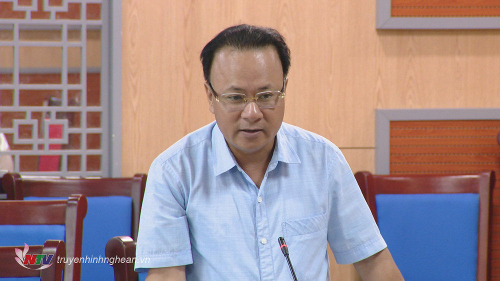 Phó Chủ tịch Thường trực HĐND tỉnh Nguyễn Nam Đình phát biểu tại cuộc họp.